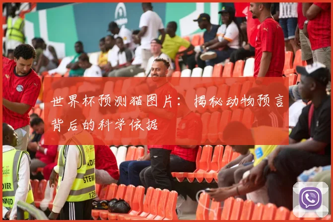 世界杯预测猫图片:揭秘动物预言背后的科学依据