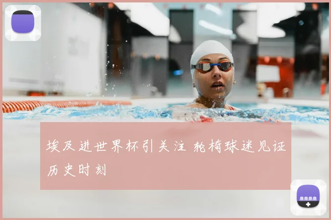 埃及进世界杯引关注 轮椅球迷见证历史时刻
