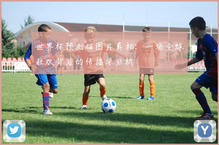 世界杯预测猫图片真相：一场全球狂欢背后的传播学分析