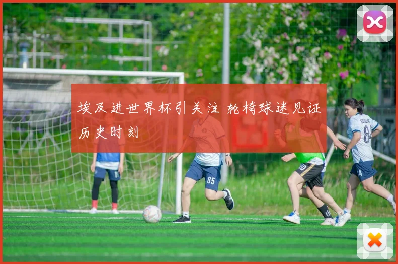 埃及进世界杯引关注 轮椅球迷见证历史时刻