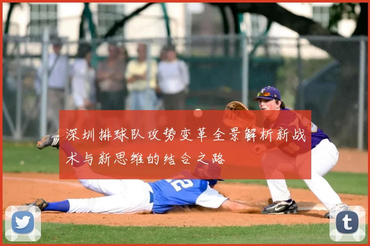 深圳排球队攻势变革全景解析新战术与新思维的结合之路