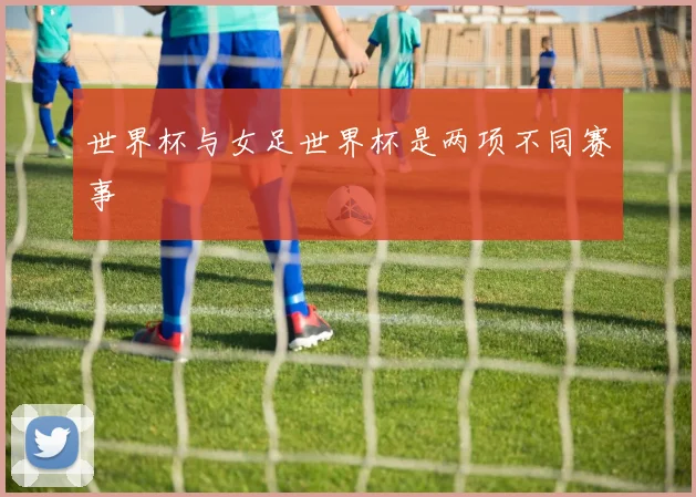 世界杯与女足世界杯是两项不同赛事