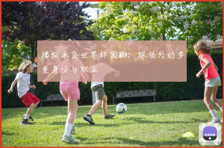 揭秘冰岛世界杯国脚：球场外的多重身份与职业