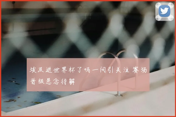 埃及进世界杯了吗一问引关注 赛场晋级悬念待解
