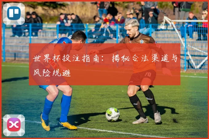 世界杯投注指南：揭秘合法渠道与风险规避