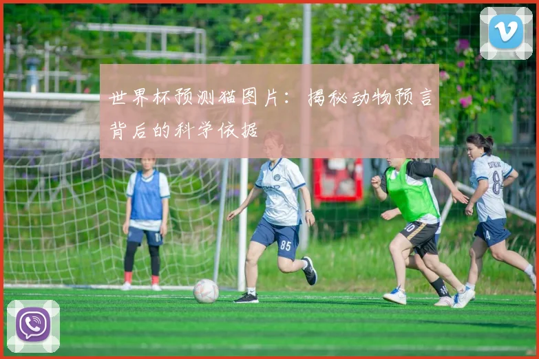 世界杯预测猫图片:揭秘动物预言背后的科学依据