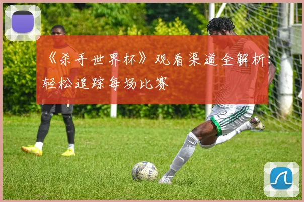《杀手世界杯》观看渠道全解析:轻松追踪每场比赛