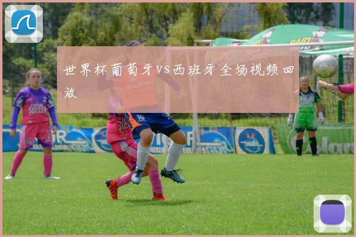 世界杯葡萄牙vs西班牙全场视频回放