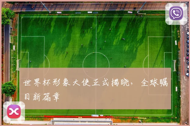 世界杯形象大使正式揭晓，全球瞩目新篇章