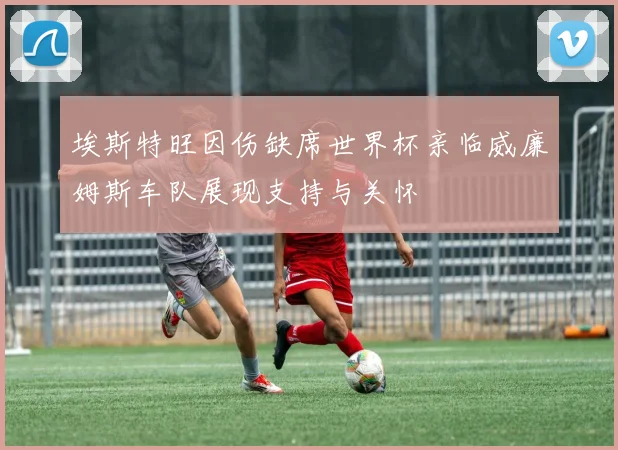 埃斯特旺因伤缺席世界杯亲临威廉姆斯车队展现支持与关怀