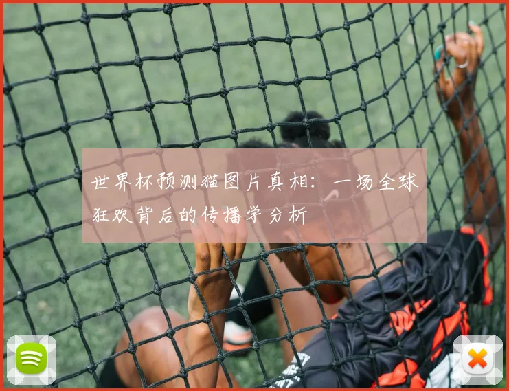 世界杯预测猫图片真相:一场全球狂欢背后的传播学分析