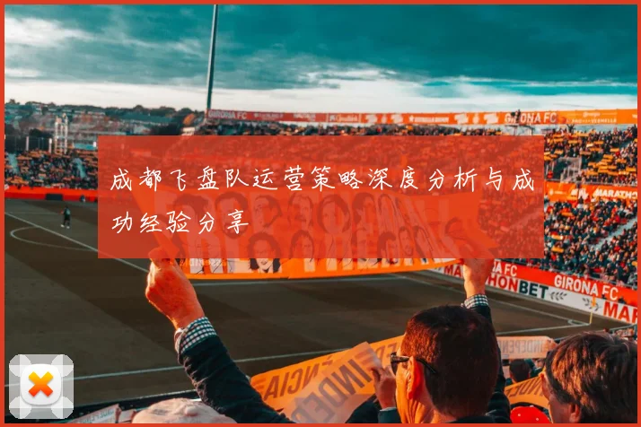 成都飞盘队运营策略深度分析与成功经验分享